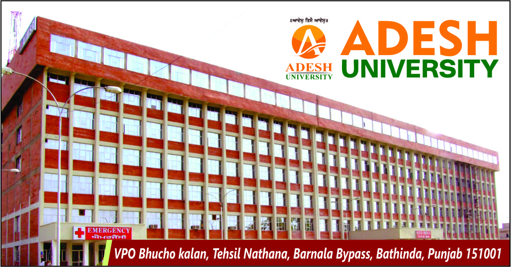 out side view of Adesh University